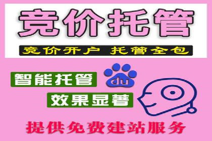 SEM专员如何提升广告投放效果的真实案例